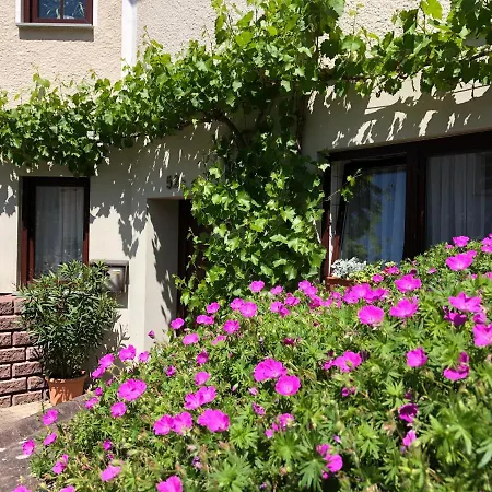 Apartment Hirtenrasen 52a *