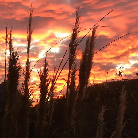 Apartamento Hirtenrasen 52a *