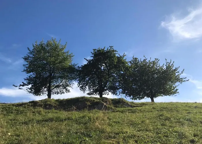 Hirtenrasen 52a * Lindewerra