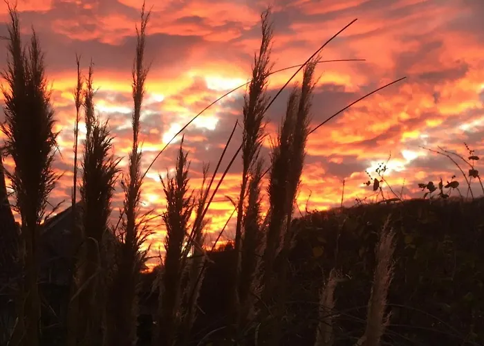 Apartment Hirtenrasen 52a *