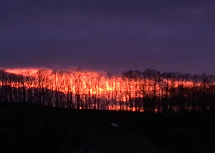 Hirtenrasen 52a Apartment Lindewerra